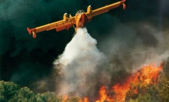 Πανικός στη Χαλκιδική: Μεγάλη πυρκαγιά σε κατοικημένη περιοχή