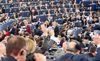 “Όχι” του Ευρωπαϊκού Κοινοβουλίου στον έλεγχο των σπόρων από τις πολυεθνικές