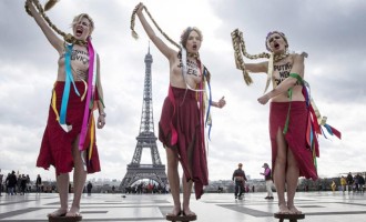 Τα “πέταξαν” πάλι οι FEMEN, αυτή τη φορά κατά της Τιμοσένκο!