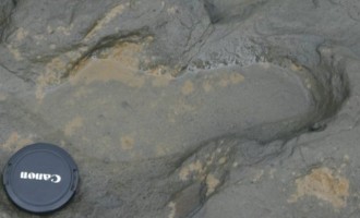 Αποτύπωμα ανθρώπινου ποδιού 900.000 ετών βρέθηκε στη Βρετανία