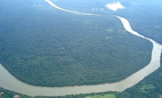 Στο δάσος του Αμαζονίου βρέθηκε 9χρονο κοριτσάκι που αγνοείτο 7 μήνες