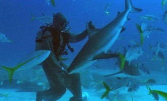 Μπαχάμες: Δείτε τους γητευτές των… καρχαριών