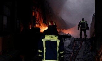 16.000 πτηνά κάηκαν από πυρκαγιά στη Θεσσαλονίκη