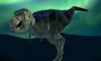 Ανακαλύφθηκε στην Αλάσκα “ξάδελφος” του Τυραννόσαυρου Ρεξ