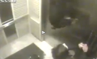 Απρόσεκτος ιδιοκτήτης παραλίγο να κρεμάσει το σκυλί στο ασανσέρ (βίντεο)