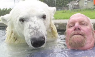 Κολυμπάει και βγάζει selfies με την… πολική αρκούδα του (βίντεο)