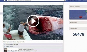 Facebook: Νέος ιός “κρυμμένος” σε βίντεο τρόμου