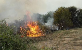 Παλαιά Φώκαια: Πυρκαγιά στο Θυμάρι