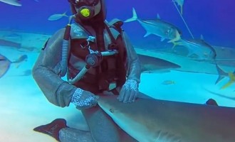 Η μάγισσα του βυθού μετατρέπει τους καρχαρίες σε… κατοικίδια (βίντεο)