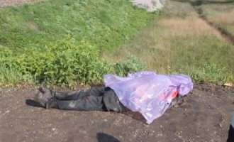 Ουκρανοί ναζί εκτέλεσαν εν ψυχρώ 10 ρωσόφωνους χωρικούς (σκληρό βίντεο)