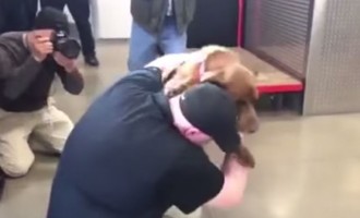 H συγκινητική σκηνή που βλέπει τον σκύλο του μετά από 5 χρόνια (βίντεο)