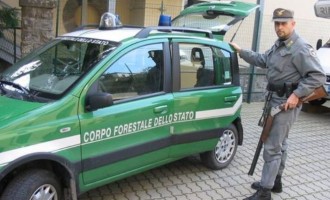 ΕΛΑΣ: Εκπαίδευσε Ιταλίδα αστυνομικό στο ηλεκτρονικό έγκλημα