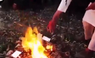 Ευρωπαίοι καίνε τα διαβατήριά τους και πολεμούν στο πλευρό της ISIS (βίντεο)
