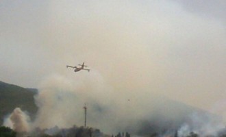Σε εξέλιξη φωτιά στη Μαλεσίνα, υψηλός κίνδυνος για πυρκαγιές σήμερα