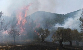 Υπό μερικό έλεγχο η πυρκαγιά στη Μυτιλήνη