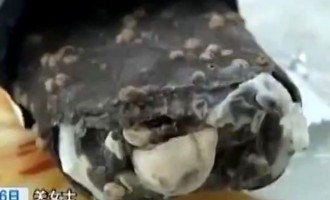 Κίνα: Παγωτό με γέμιση… κομμένο δάκτυλο (βίντεο)