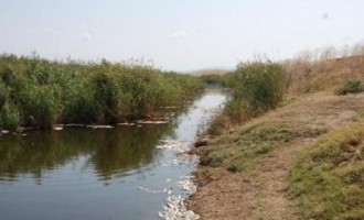 Θεσπρωτία: Το ποτάμι γέμισε νεκρές πέστροφες