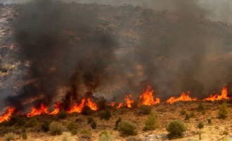 Πυρκαγιές σε Λακωνία, Εύβοια και Μέγαρα