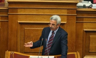 Βουλευτής της ΔΗΜΑΡ λέει ναι στο δημοψήφισμα του ΣΥΡΙΖΑ για την ΔΕΗ