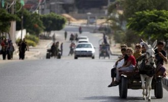Δραματικές εικόνες από τη Γάζα: Κατά χιλιάδες εγκαταλείπουν τα σπίτια τους