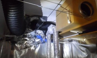 Χαλκίδα: Είχε μετατρέψει το υπόγειο του σπιτιού του σε εργαστήριο υδροπονικής κάνναβης