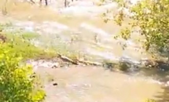 Πολιτική Προστασία Ρεθύμνου: Μην κολυμπάτε στην λίμνη με τον κροκόδειλο (βίντεο)