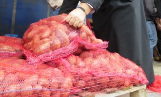 Μοιράζουν 60 τόνους πατάτας Νάξου στο Καματερό