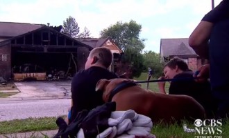 ΗΠΑ: Ηρωικός σκύλος σώζει 13χρονο κωφό από το φλεγόμενο σπίτι (βίντεο)
