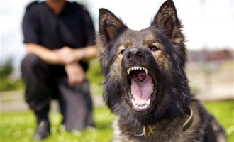 Αστυνομικός σκύλος κατασπάραξε ηλικιωμένη