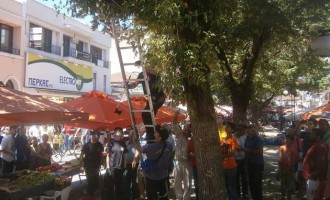 Φίδι σκόρπισε τον πανικό σε λαϊκή αγορά στα Τρίκαλα (βίντεο)