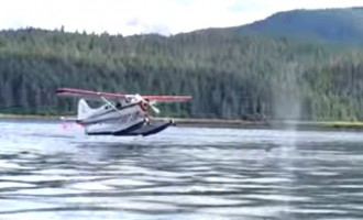 Αλάσκα: Υδροπλάνο παραλίγο να προσγειωθεί πάνω σε… φάλαινα (βίντεο)