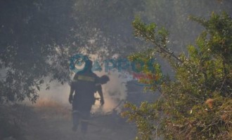 Συνεχίζεται η μάχη με τις φλόγες στη Μεσσηνία