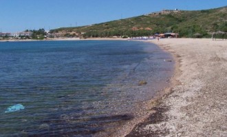 Πανικός σε παραλία της Χαλκίδας: Καρχαρίας βγήκε στα ρηχά (βίντεο)