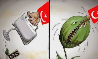 Βόμβα ΗΠΑ: “Η Τουρκία στήριξε απευθείας τους τζιχαντιστές στη Συρία”