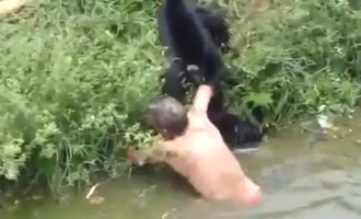 Πίθηκοι κάνουν επίθεση και τραυματίζουν άνθρωπο (βίντεο)