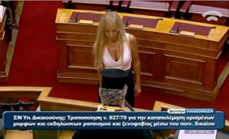 Μαρία Σταυρινούδη Σόδη: Δεν πήγα στη Βουλή για να σχολιαστεί το ντύσιμό μου