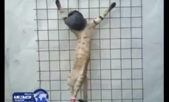 Στη Σαουδική Αραβία διασκεδάζουν βασανίζοντας ζωάκια (βίντεο)