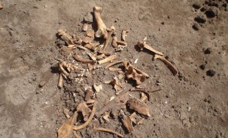 Βρέθηκε σκελετός σε χωράφι στην Κρήτη