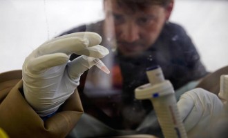 Έμπολα: Ορός με αντισώματα σε λίγες βδομάδες και πειραματικά εμβόλια τον Ιανουάριο