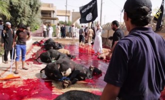 Το Ισλαμικό Κράτος κάνει δημόσιες θυσίες στη Μοσούλη