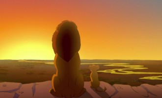 Τι σχέση έχει ο Lion King με την Κομπάνι και έγινε viral; (φωτο)