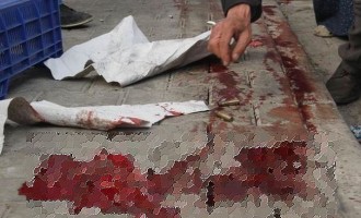 ΕΚΤΑΚΤΟ: Τούρκοι δολοφόνησαν Κούρδο διαδηλωτή (φωτογραφίες σοκ)