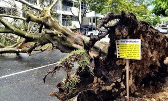 Αυστραλία: Η χειρότερη καταιγίδα της τελευταίας δεκαετίας στο Μπρισμπέιν