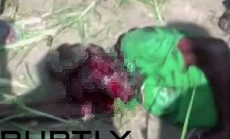 Βίντεο από επίθεση αρκούδας σε χωρικούς (σκληρές εικόνες)