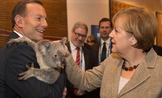 G20: Έδωσαν σε όλους κοάλα, αλλά η Μέρκελ δεν ήθελε (φωτό)