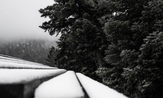 Χιόνισε στην Πάρνηθα (φωτογραφίες)