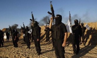 Οι Αιγύπτιοι τζιχαντιστές ορκίστηκαν πίστη στο Ισλαμικό Κράτος