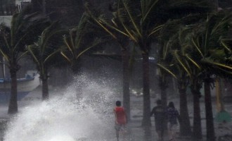 Ο τυφώνας Χαγκοπίτ εξασθένισε και χιλιάδες επιστρέφουν