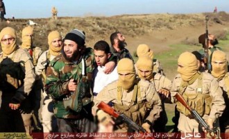 Οι ΗΠΑ αμφισβητούν ότι το Ισλαμικό Κράτος κατέρριψε το μαχητικό