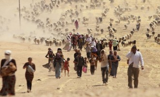 Η Διεθνής Αμνηστία χαρακτηρίζει εθνοκάθαρση τις πράξεις κατά των Γιαζίντι